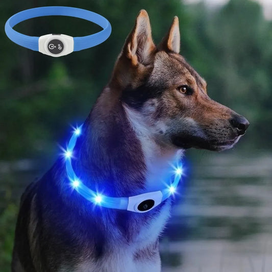 collier lumineux chien durable