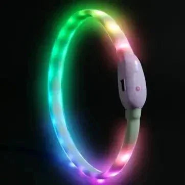 COLLIER LUMINEUX CHIEN | LED DÉCOLORÉ - Les chiens beaux