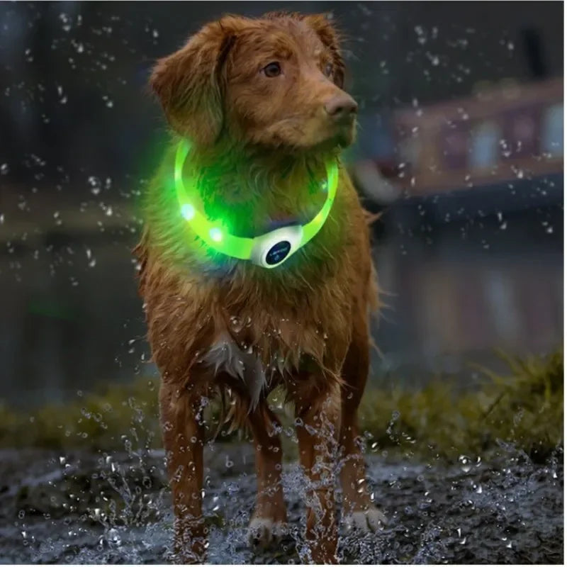 collier lumineux chien robuste vert