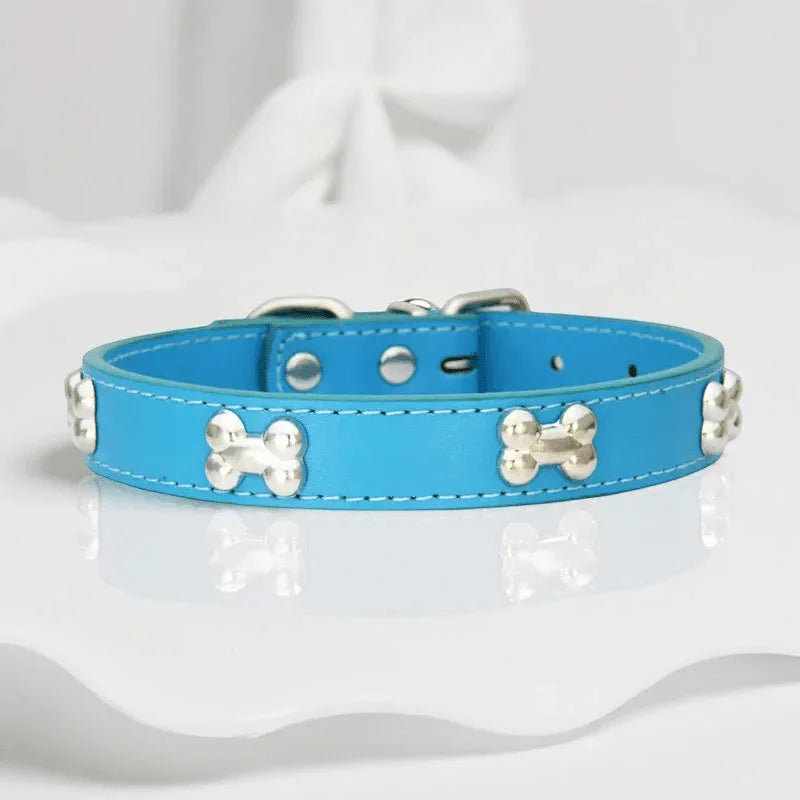 collier pour chien a clous bleu