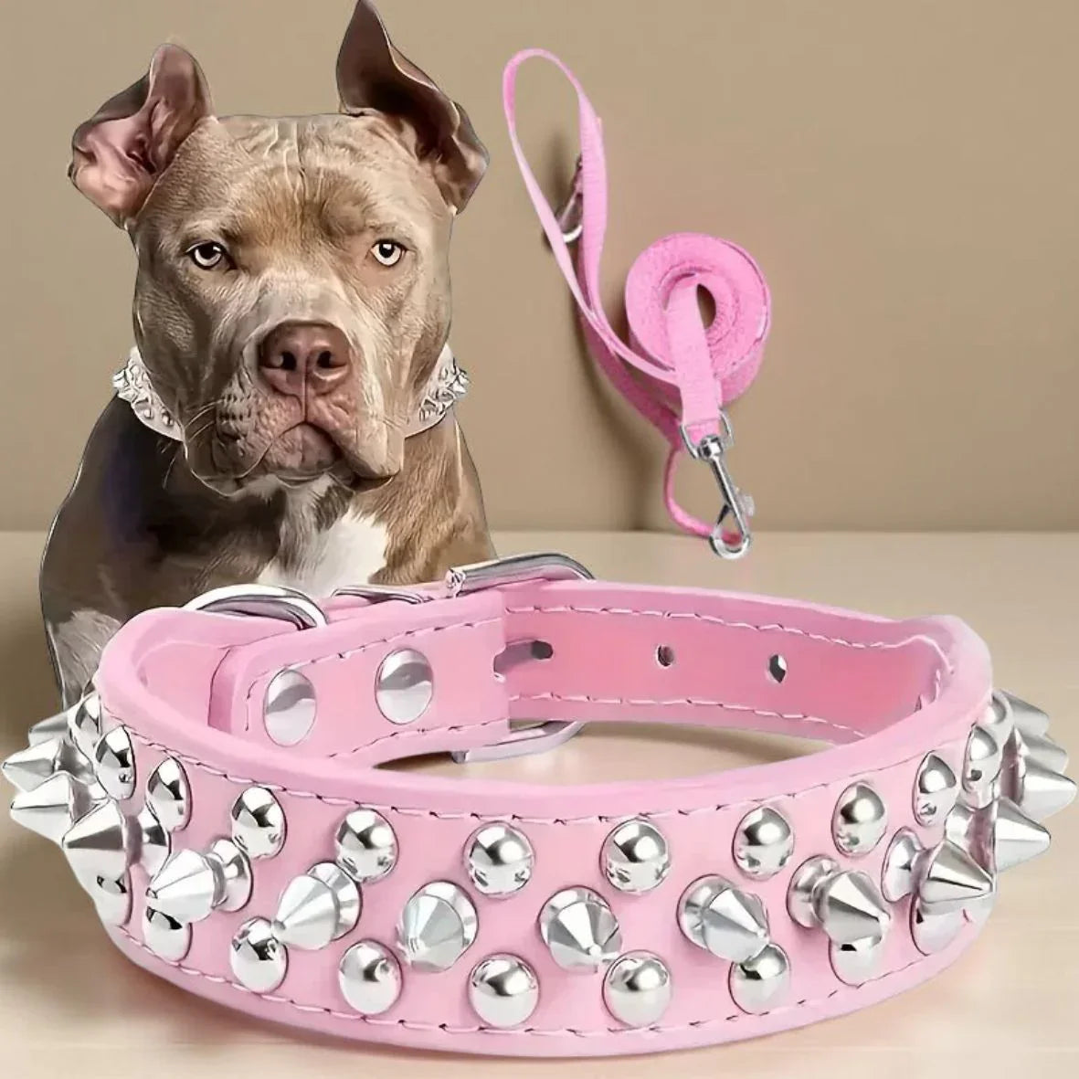 collier pour chien a clous rose