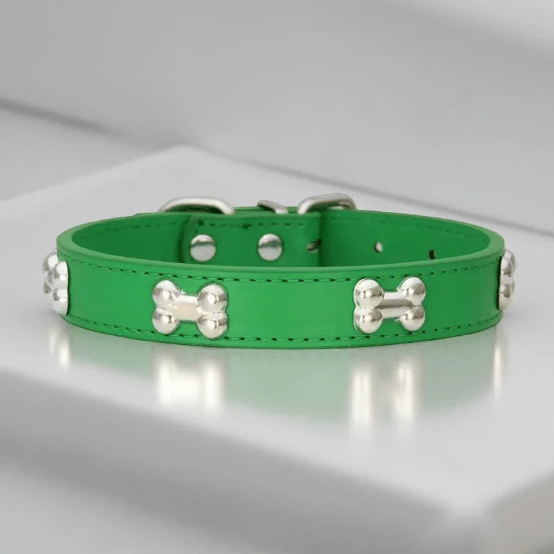collier pour chien a clous vert