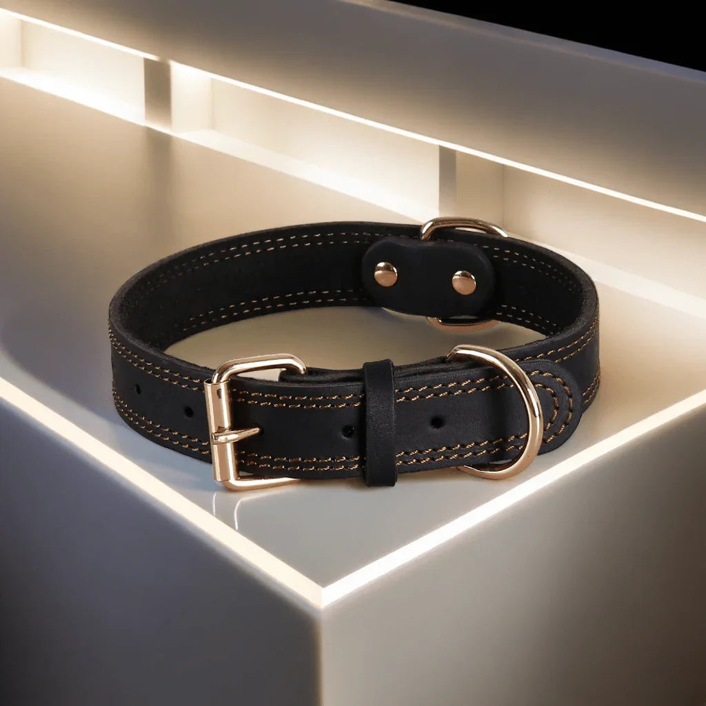 Collier pour chien en cuir véritable | Bravouro - Les chiens beaux