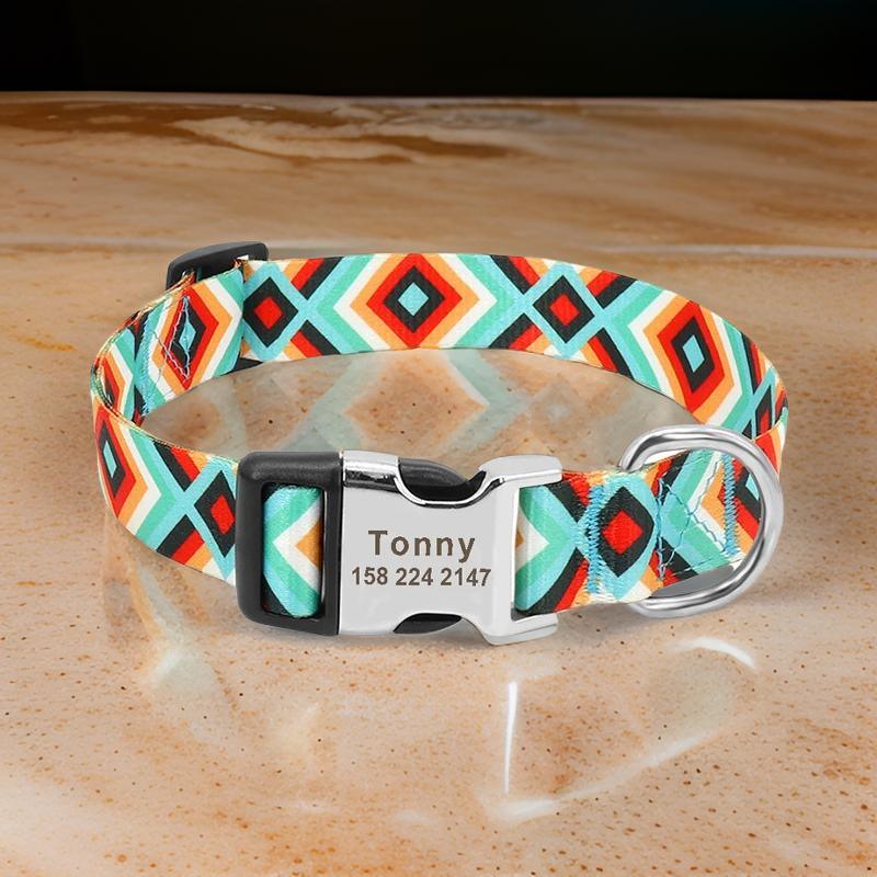 Collier pour chien personnalisé | Personicoll - Les chiens beaux