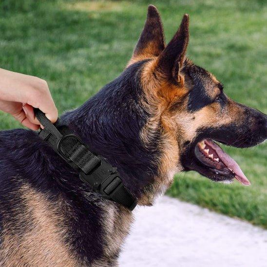 COLLIER POUR CHIEN TACTIQUE | TACOPET - Les chiens beaux