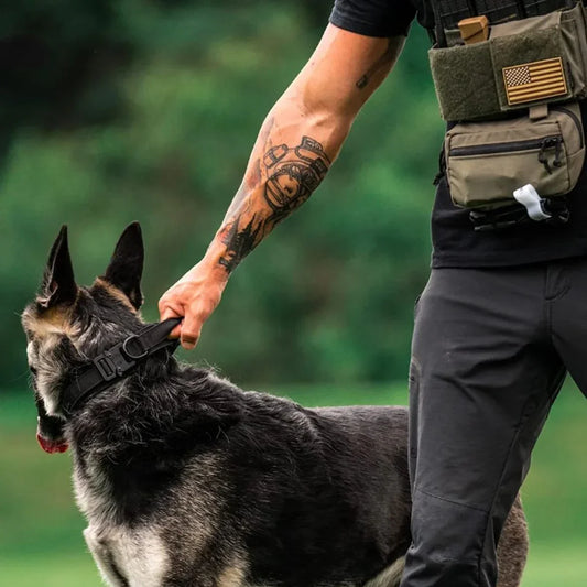 COLLIER POUR CHIEN TACTIQUE | TACOPET - Les chiens beaux