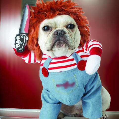 deguisement chien halloween festive impeccable