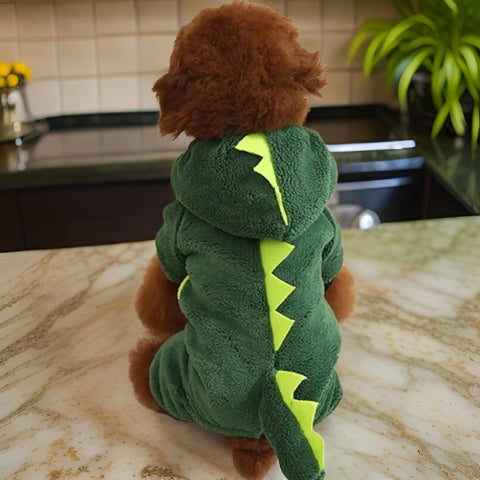 deguisement chien halloween tres joli
