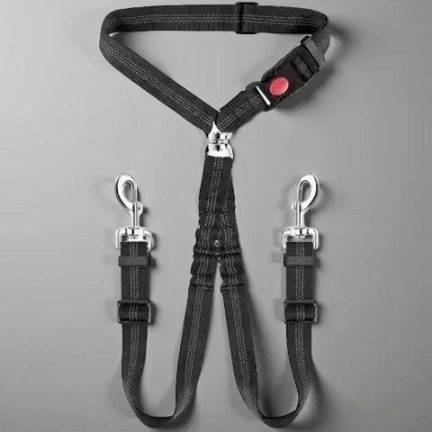 double laisse pour chien ceinture de securite noire