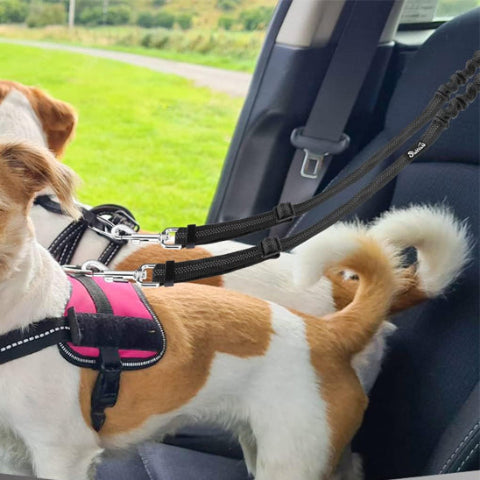 double laisse pour chien ceinture de securite noire de bonne qualite