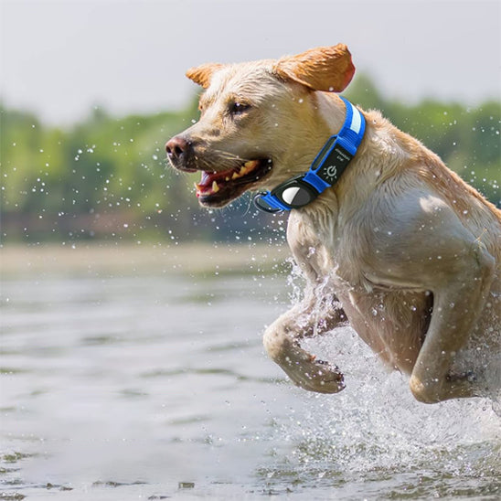COLLIER GPS CHIEN | AIRTAG LED™