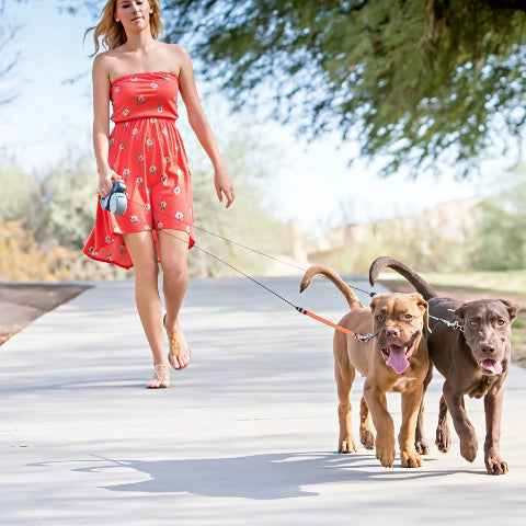 femme qui se promene avec ses deux chiens qui porte la laisse enrouleur led roulette