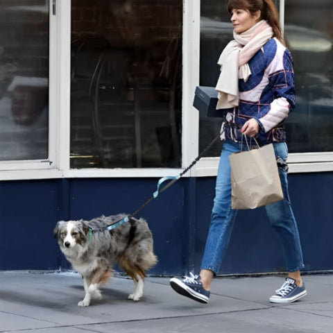 femme qui se promene avec son border collie qui porte la laisse pour chien ceinture mains libres de bonne qualite