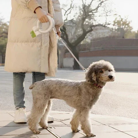 femme qui se promene avec son chiot qui porte la laisse pour chien led retractable