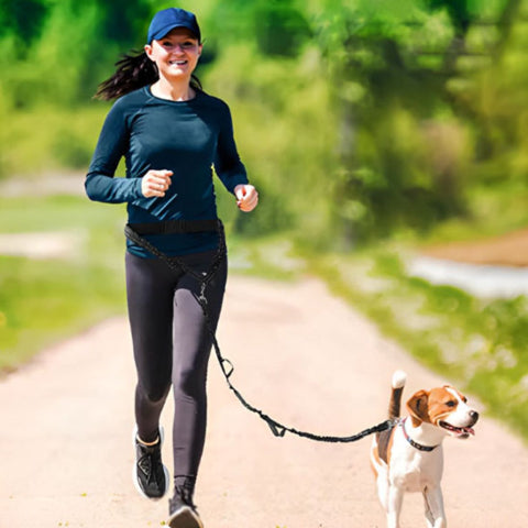 fille qui court dans la route avec son beagle qui porte la laisse pour chien ceinture mains libres noire robuste
