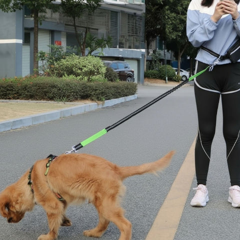 fille qui marche dans la route avec son chien qui porte la laisse pour chien main libre