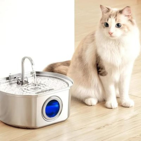 fontaine a eau chat avec acier inoxydable