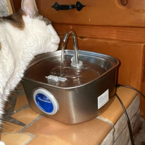 fontaine a eau chat de qualite superieure