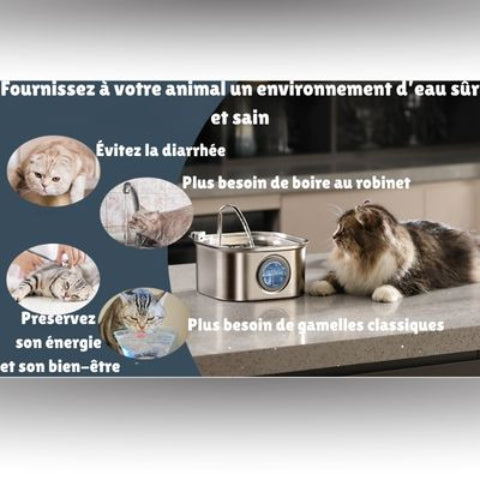 fontaine a eau chat tres adorable