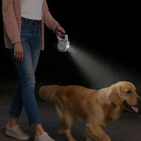 golden retriever qui marche avec sa proprietaire portant une laisse de chien retractable 3 en lumineuse la nuit