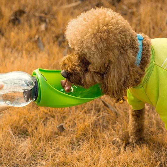 GOURDE CHIEN | COUVERCLE EN FORME DE FEUILLE - Les chiens beaux