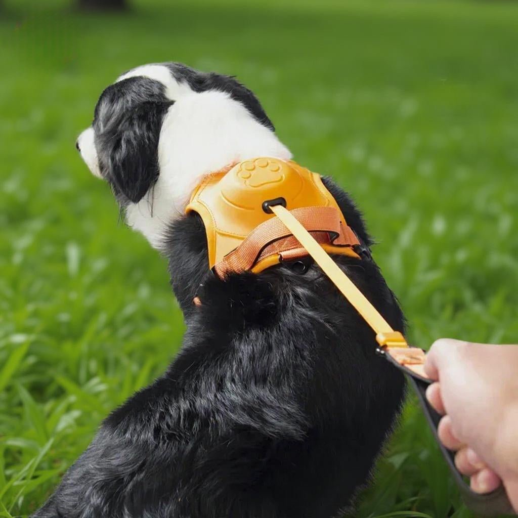 HARNAIS ANTI TRACTION CHIEN | TOUT - EN - UN - Les chiens beaux