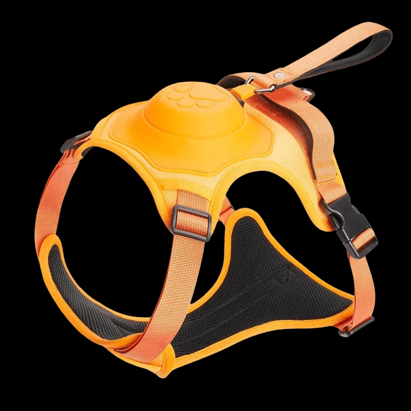 HARNAIS ANTI TRACTION CHIEN | TOUT - EN - UN - Les chiens beaux