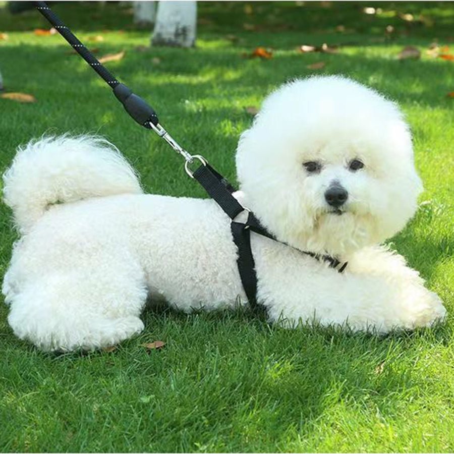 HARNAIS CHIEN ANTI TRACTION DE POITRINE EN NYLON NOIR ET GRIS - Les chiens beaux