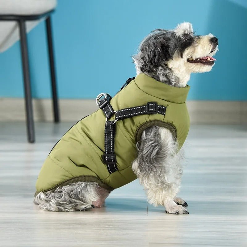 HARNAIS CHIEN HIVER | ARTICFIT - Les chiens beaux