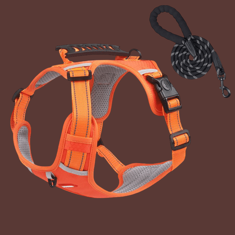 HARNAIS CHIEN | LAISSE ANTI TRACTION - Les chiens beaux