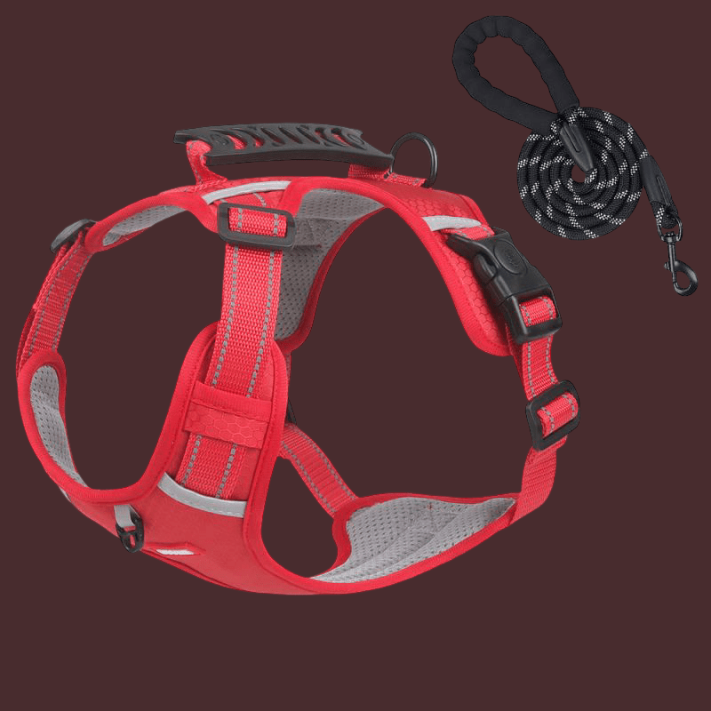 HARNAIS CHIEN | LAISSE ANTI TRACTION - Les chiens beaux