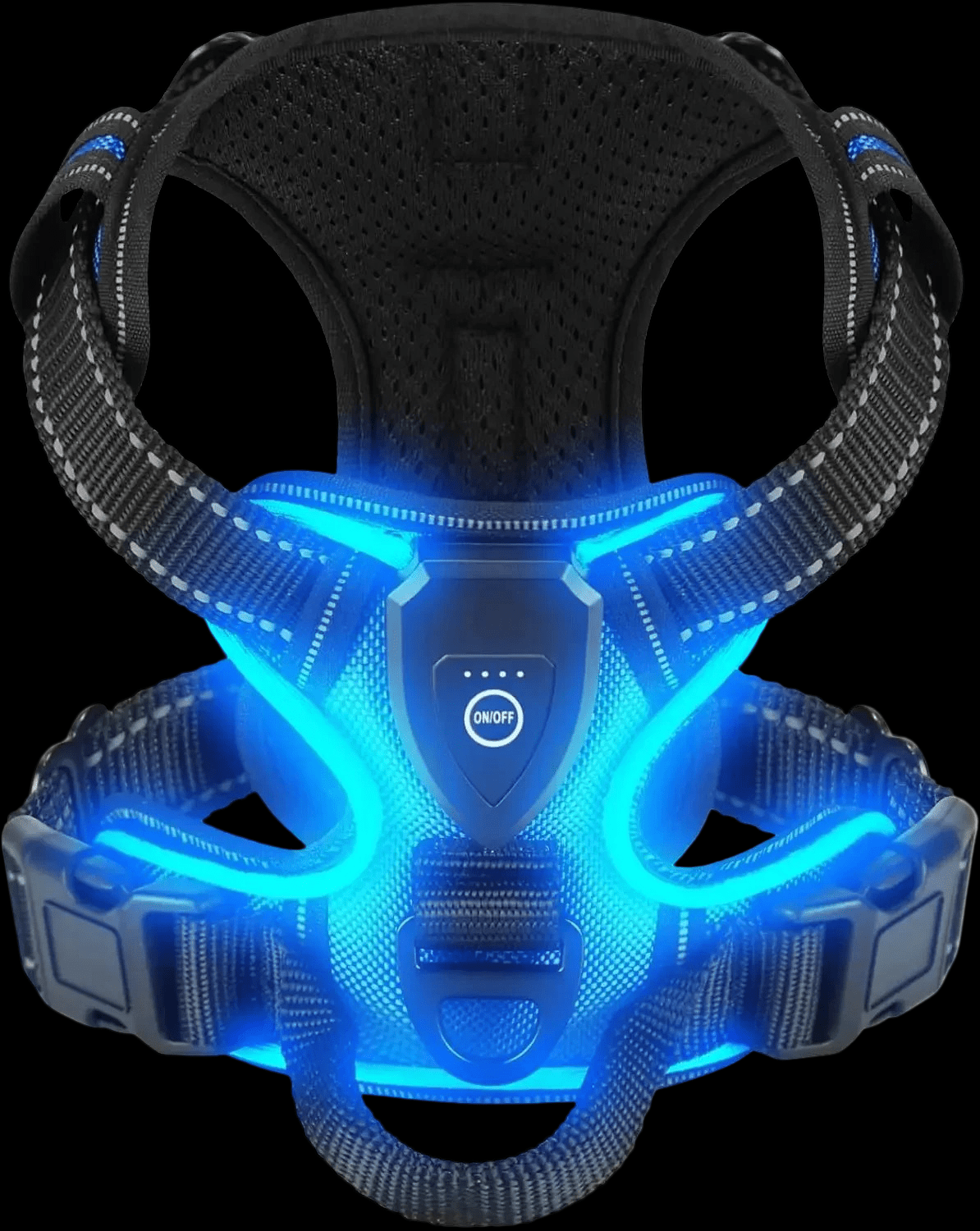 HARNAIS CHIEN | LED LUMINEUX - Les chiens beaux