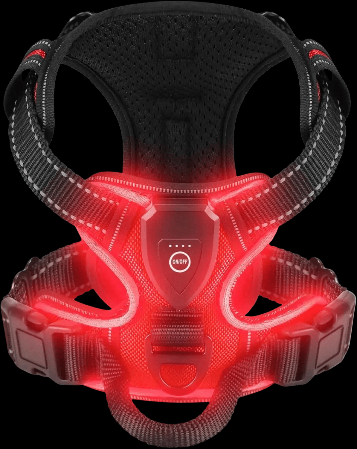 HARNAIS CHIEN | LED LUMINEUX - Les chiens beaux