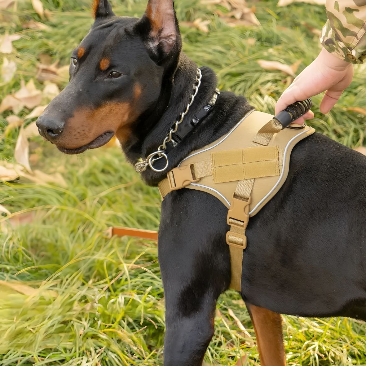 HARNAIS CHIEN MILITAIRE | K9GEAR
