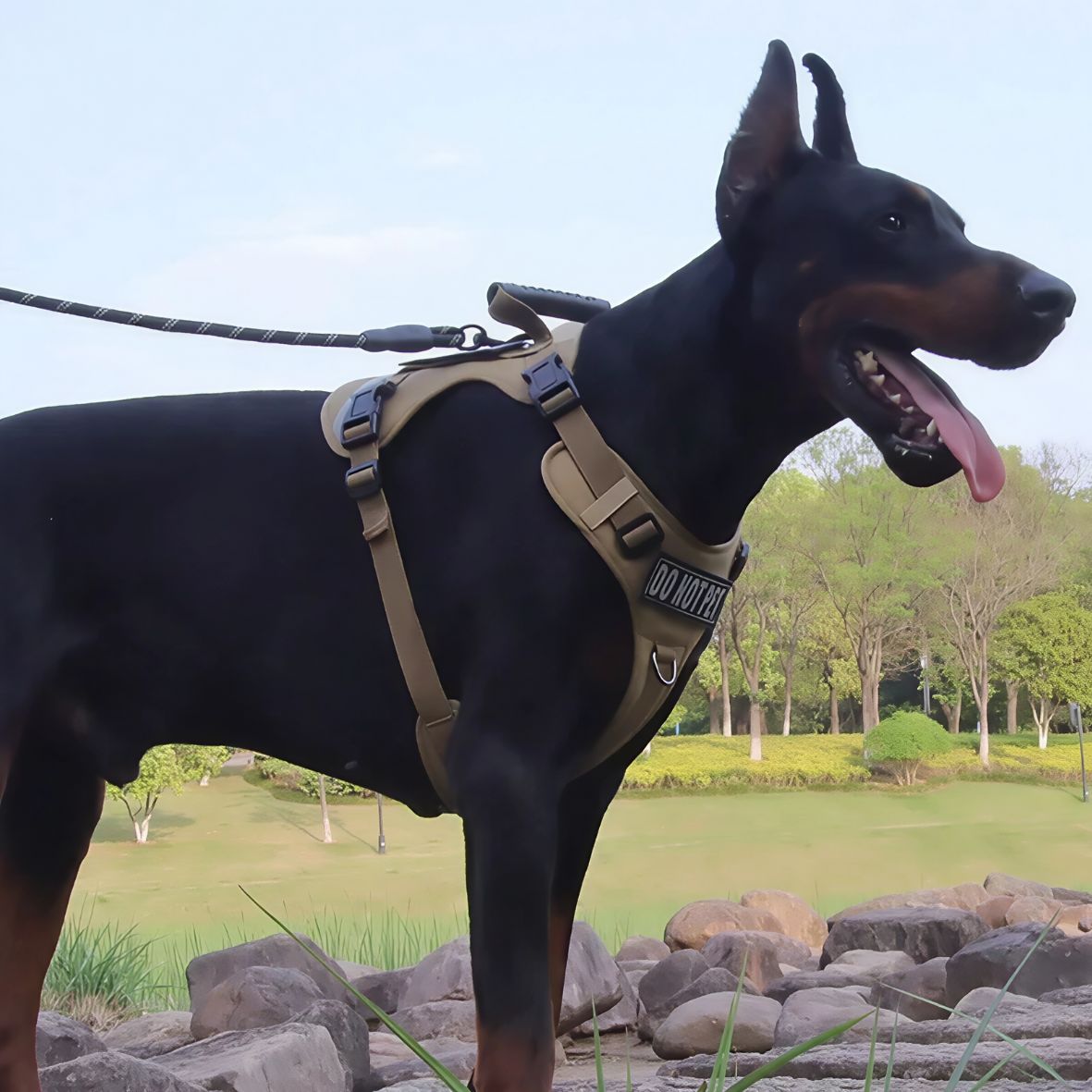 harnais militaire pour chien robuste