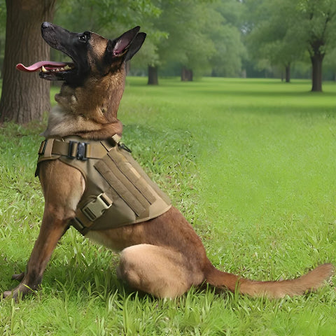 HARNAIS CHIEN MILITAIRE | TACTICONTROL - Les chiens beaux