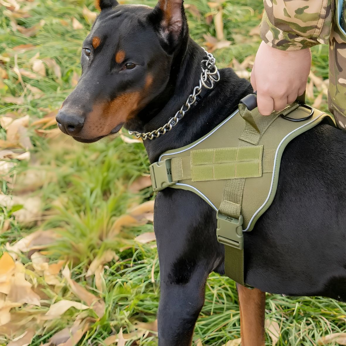 HARNAIS CHIEN MILITAIRE | K9GEAR