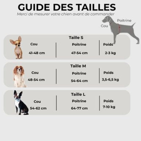 harnais petit chien Gilet sans traction Guide des tailles