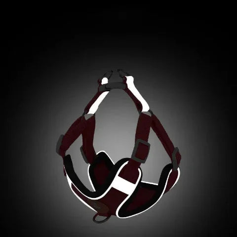 harnais petit chien gilet sans traction lumineux