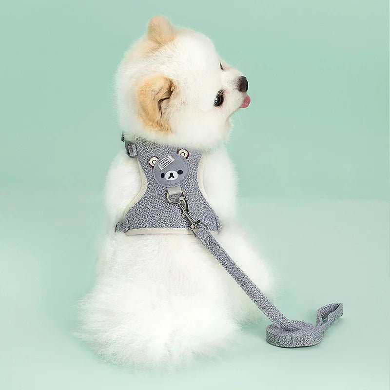 Harnais petit chien | Laisse pour lapin - Les chiens beaux