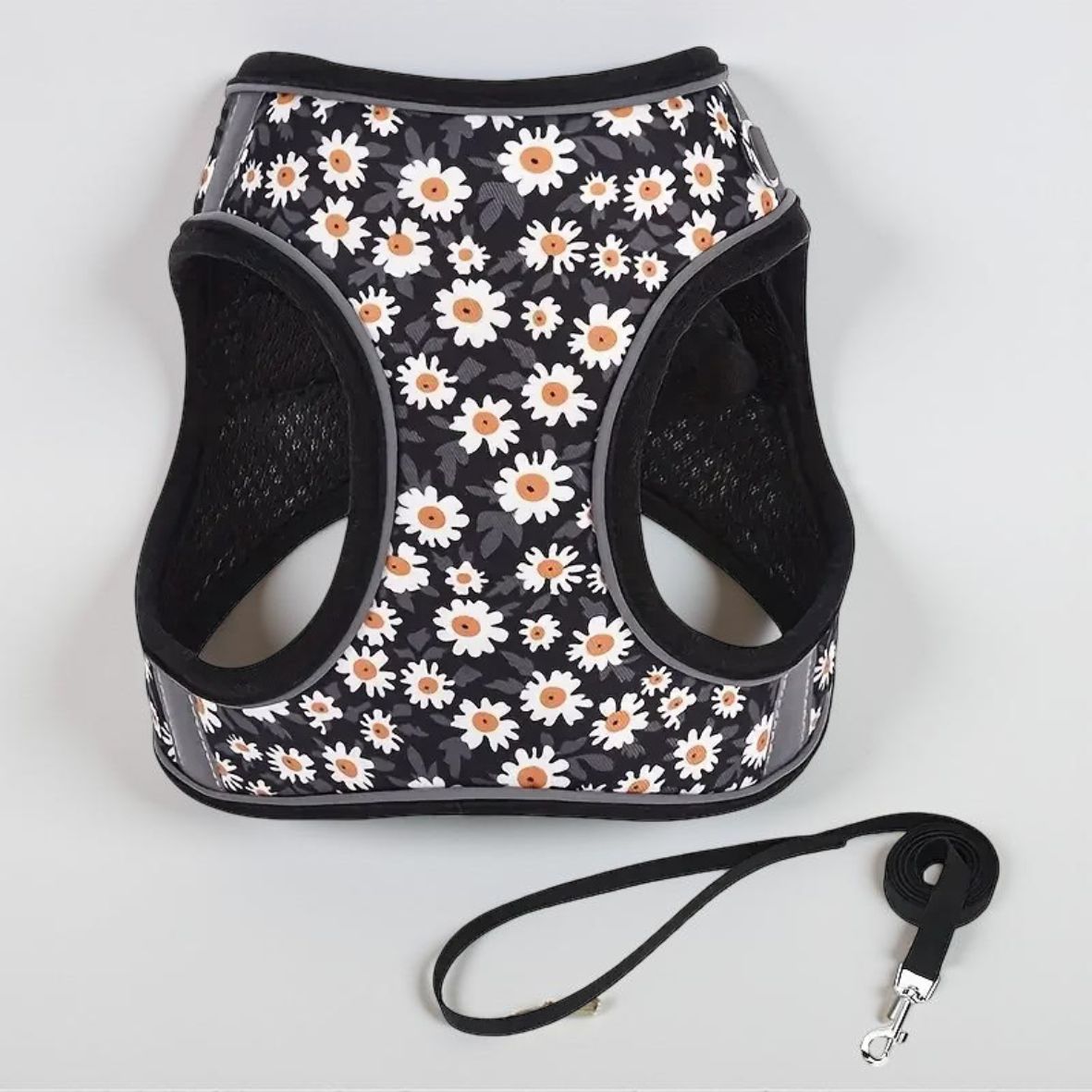 harnais petit chien noir durable