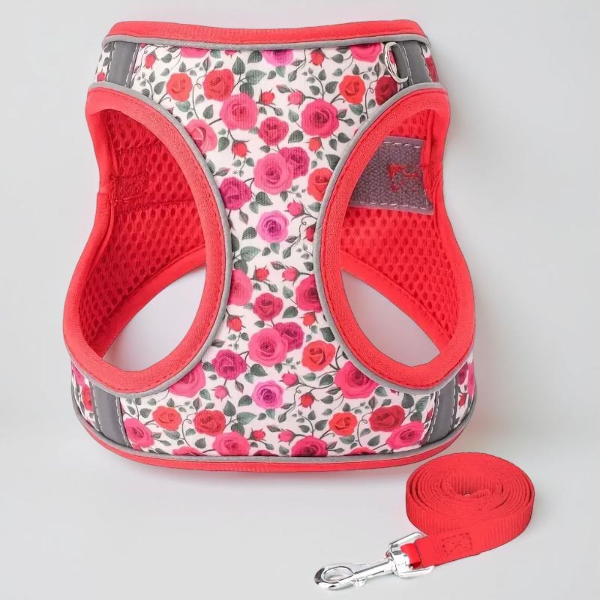 harnais petit chien rouge