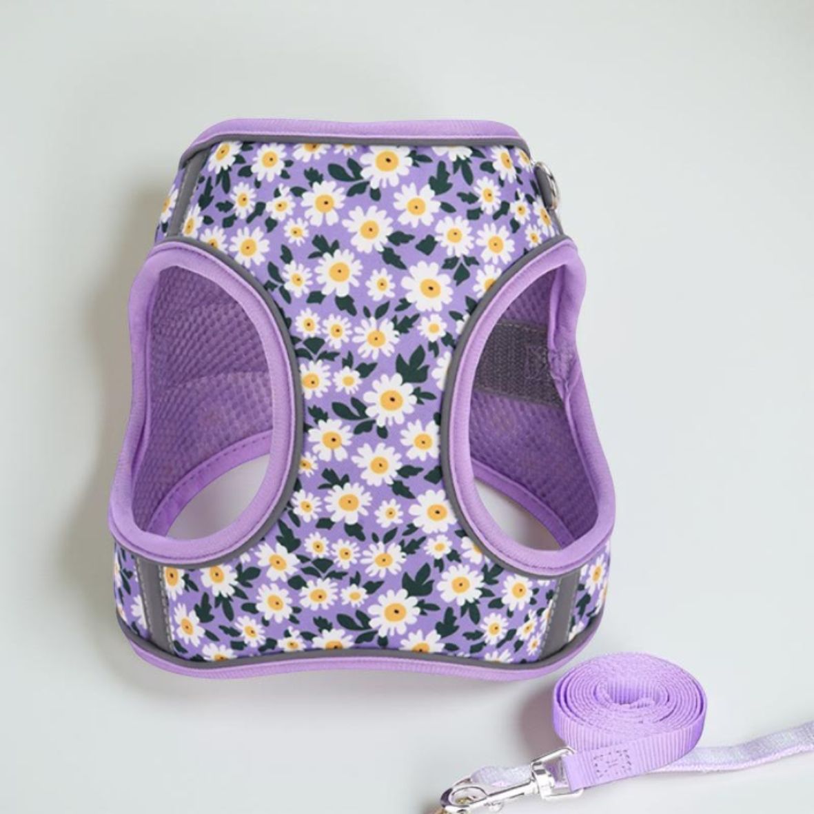 harnais petit chien violet