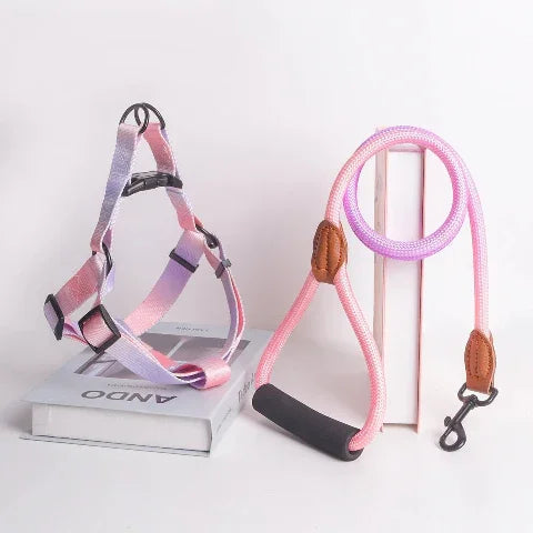 harnais pour chien colore santafe rose violet