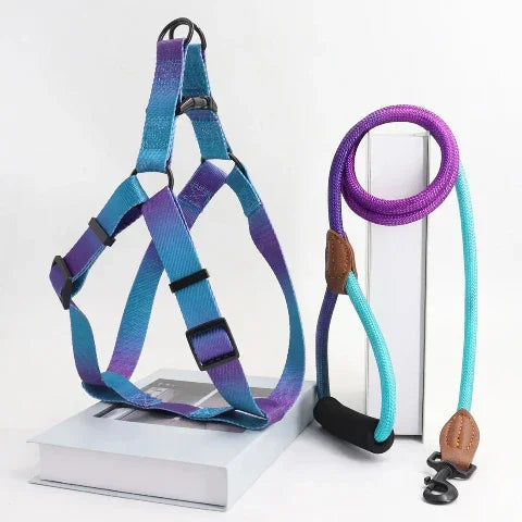 harnais pour chien colore santafe zilan