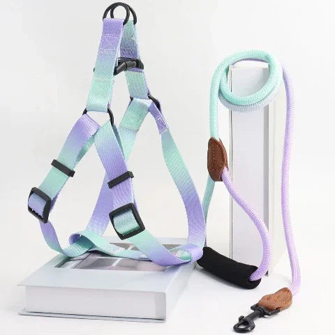 harnais pour chien colore santafe zilu