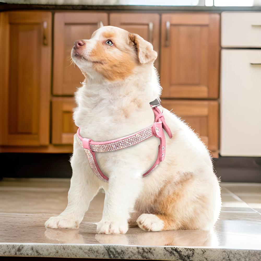 Harnais pour chien | Cuir suédé souple SFP - Les chiens beaux