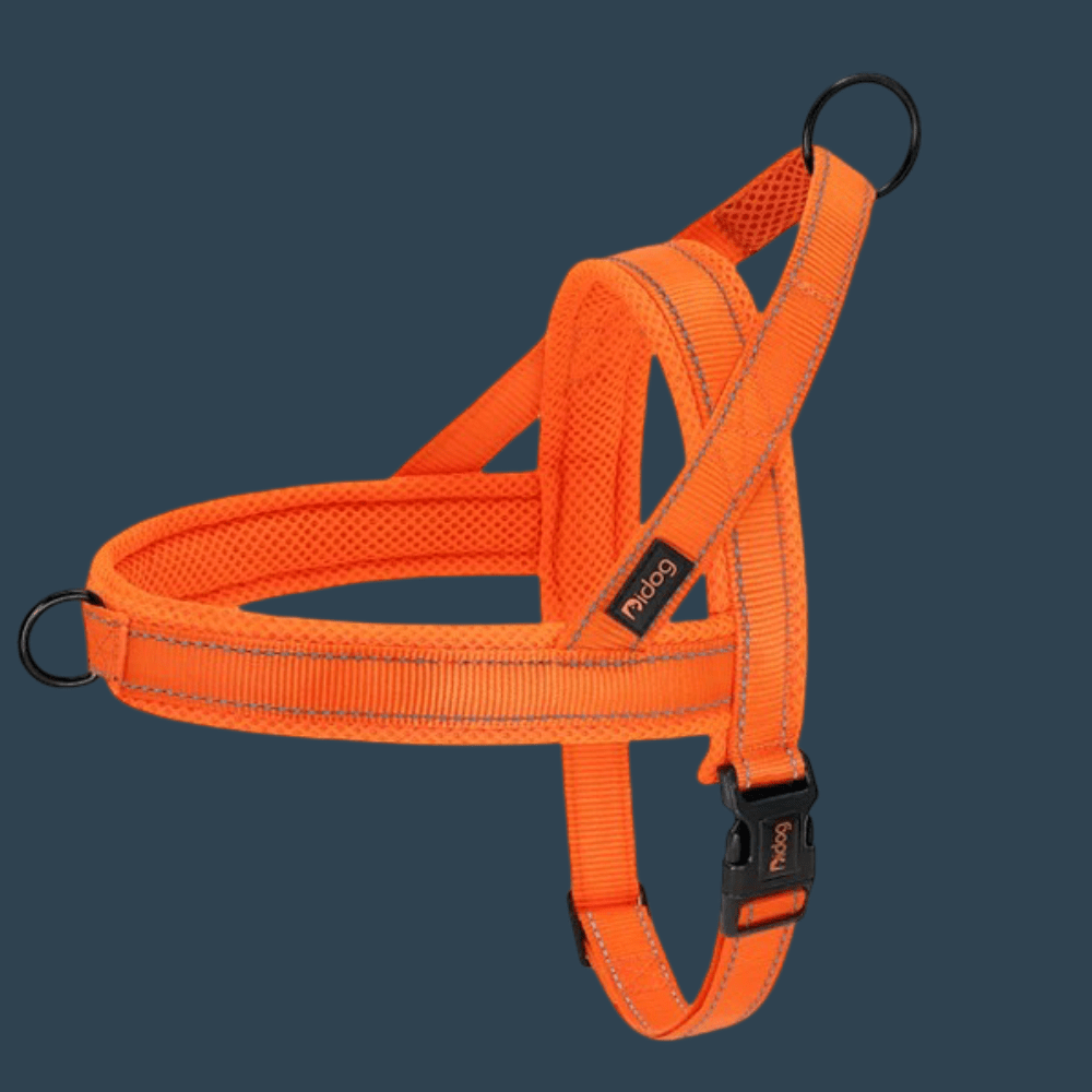 Harnais pour chien | Poitrail en nylon - Les chiens beaux