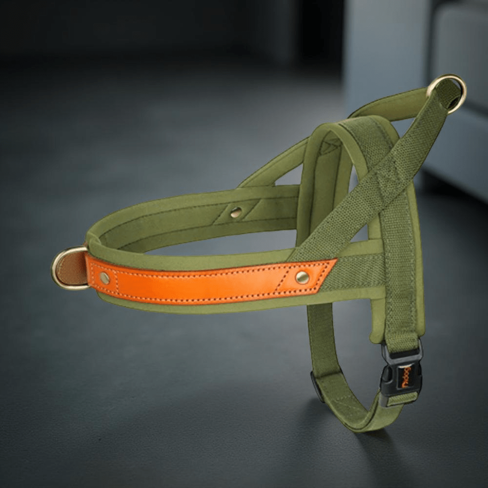 Harnais pour chien | Poitrail en nylon - Les chiens beaux