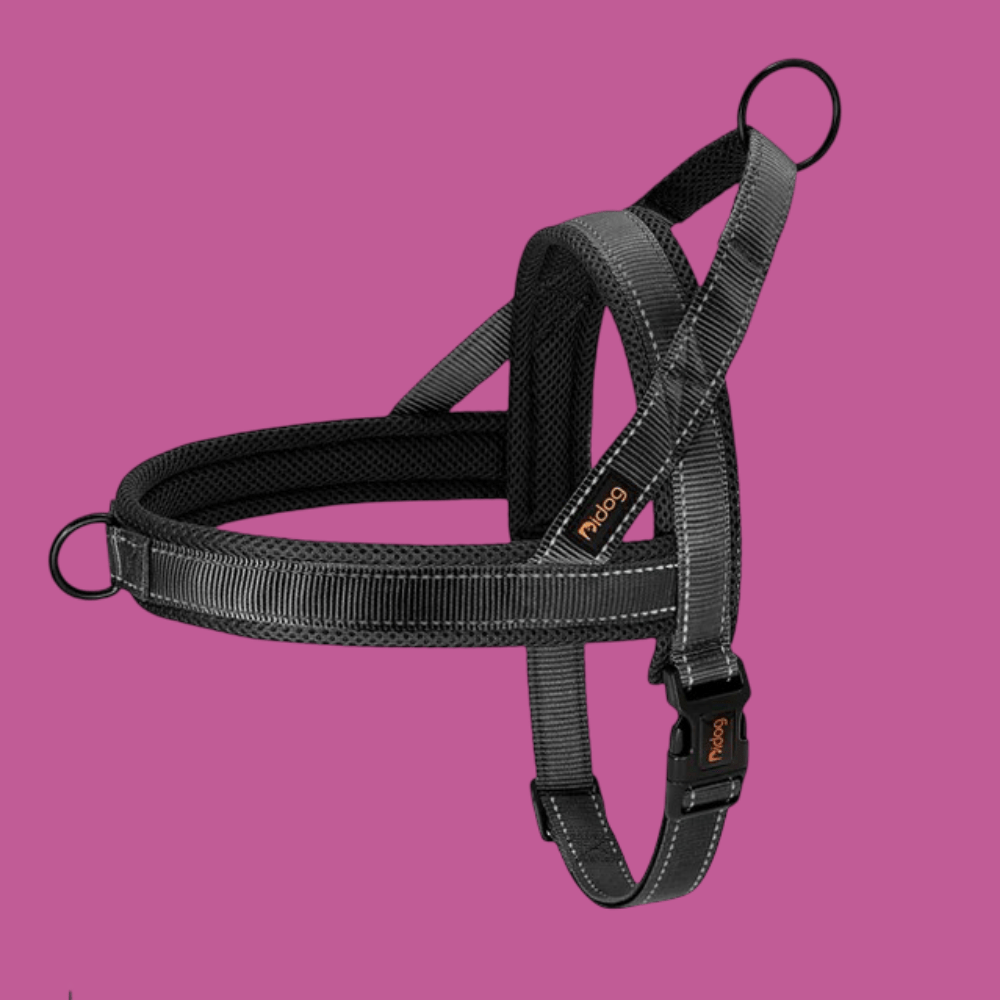Harnais pour chien | Poitrail en nylon - Les chiens beaux